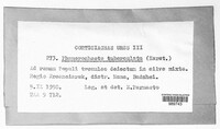 Image Associated With the Occurence